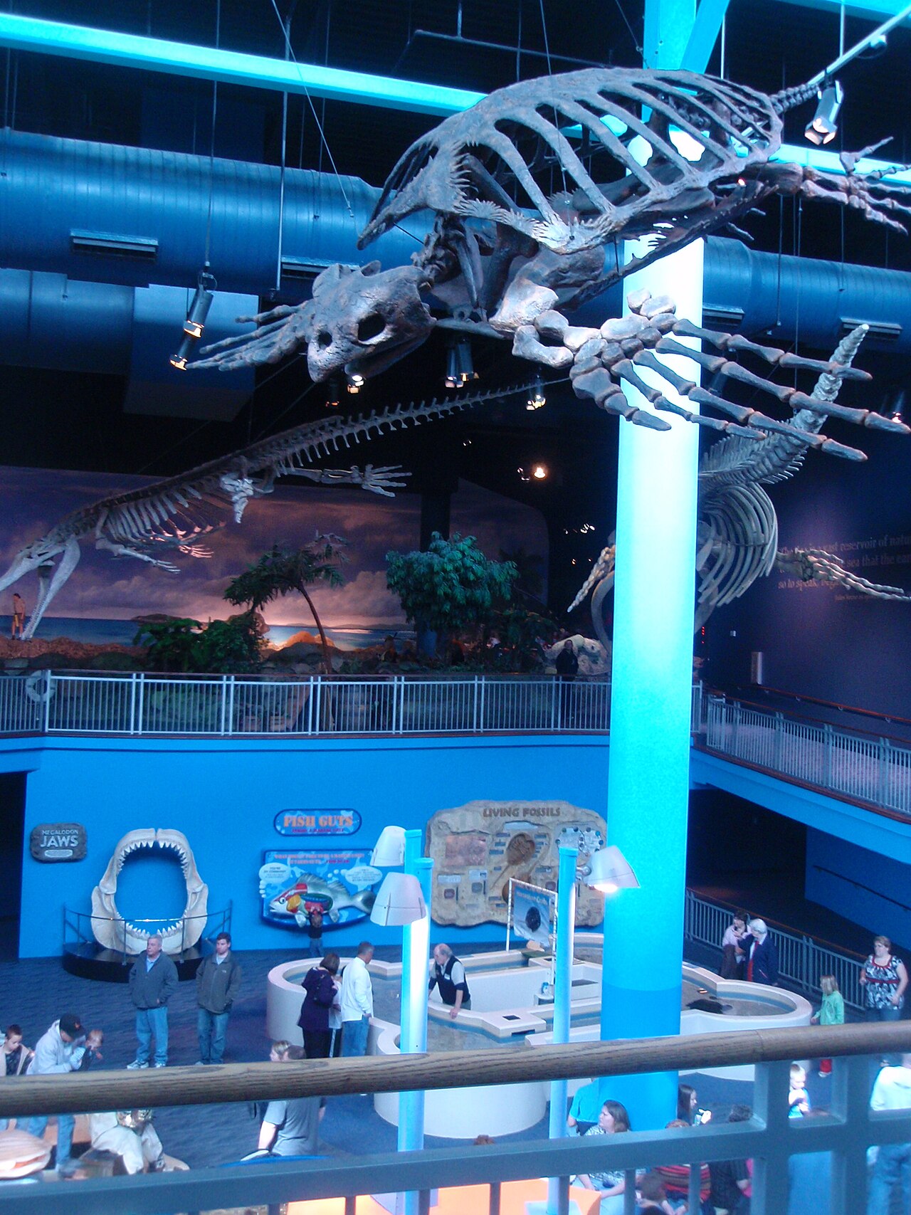 Ripley's Aquarium of the Smokies